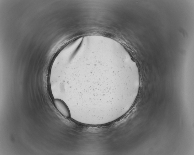 X0000112890341200910021419