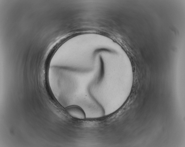 X0000112890342200910021419