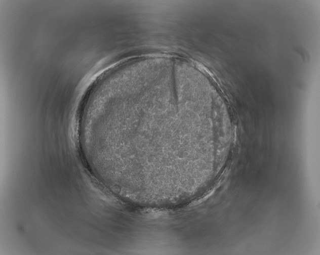 X0000112890343200910021419