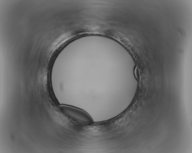 X0000112890344200910021419