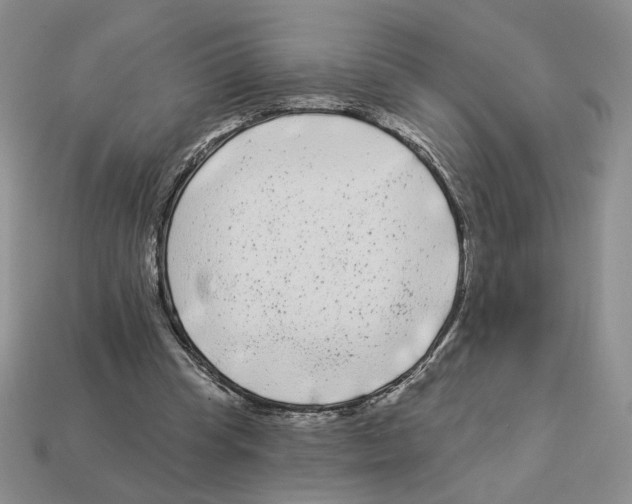 X0000112890345200910021419