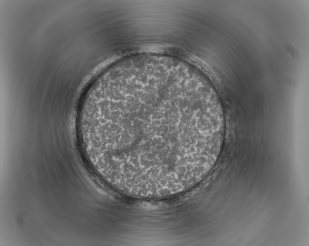 X0000112890346200910021419