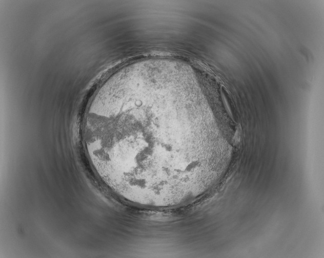 X0000112890347200910021419
