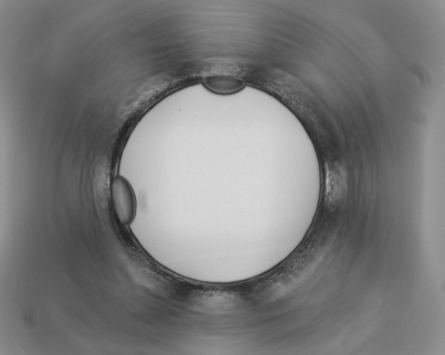 X0000112890348200910021419