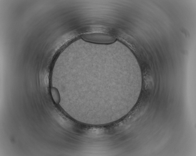 X0000112890350200910021419
