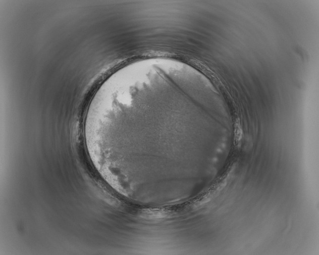X0000112890351200910021419