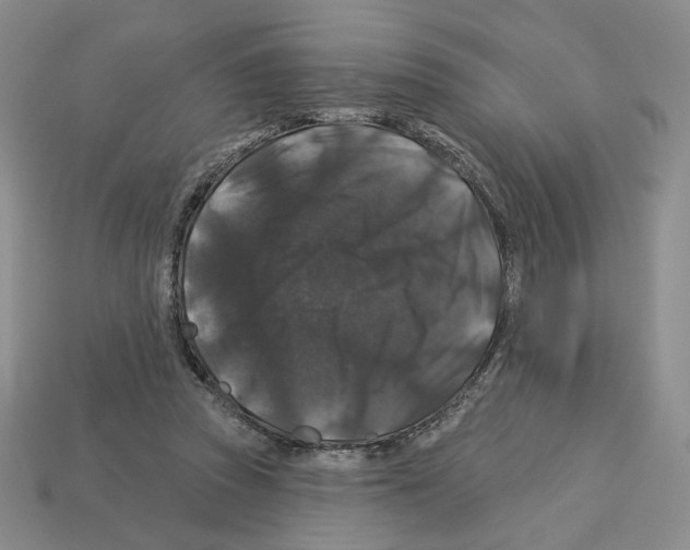 X0000112890353200910021419