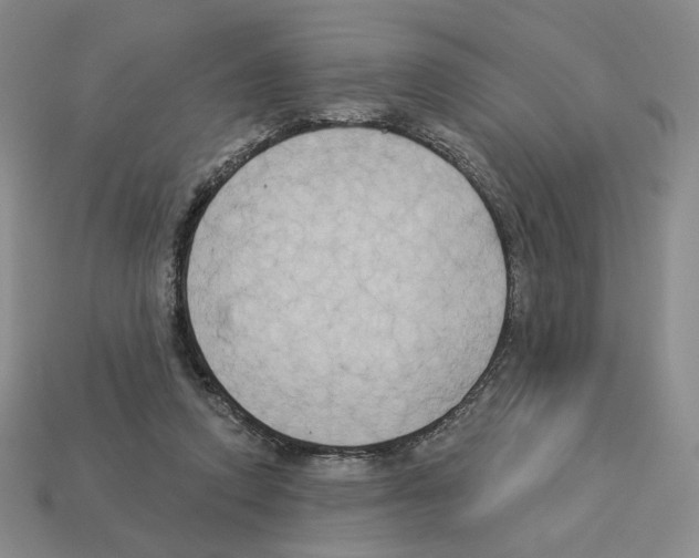 X0000112890354200910021419
