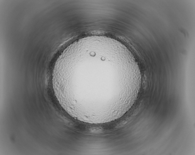 X0000112890355200910021419