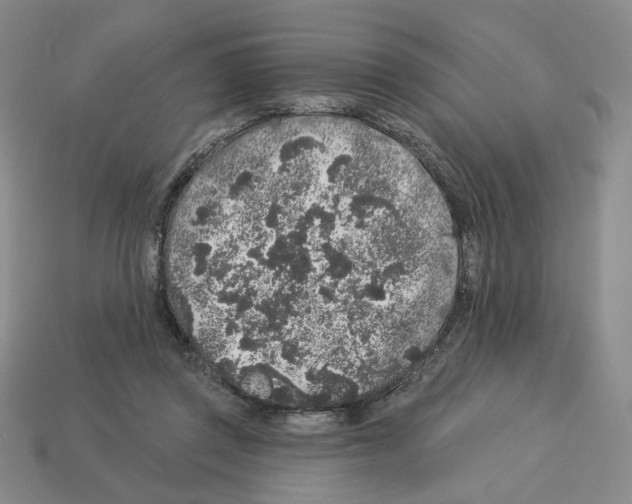 X0000112890357200910021419
