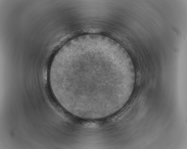 X0000112890358200910021419