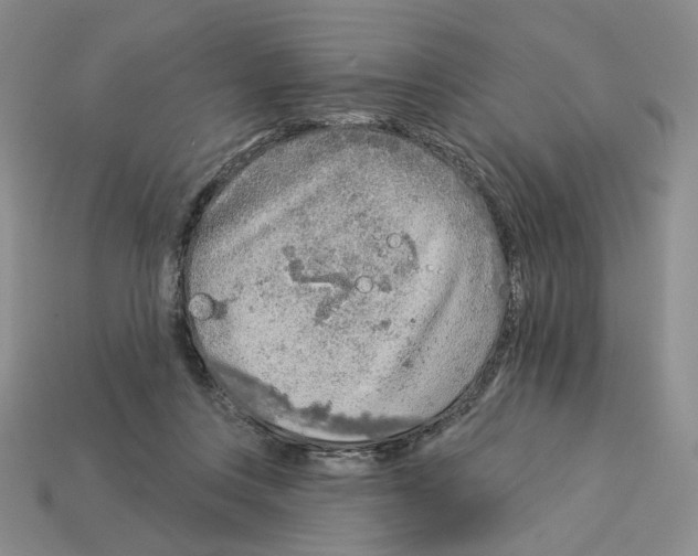 X0000112890359200910021419