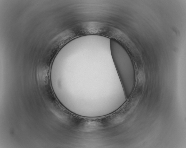 X0000112890360200910021419