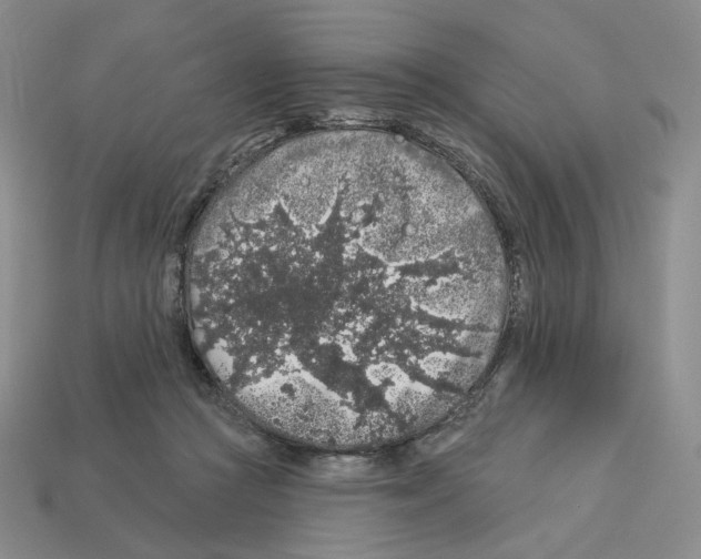 X0000112890361200910021419