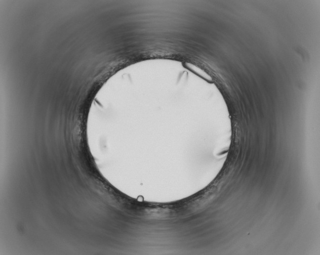 X0000112890362200910021419