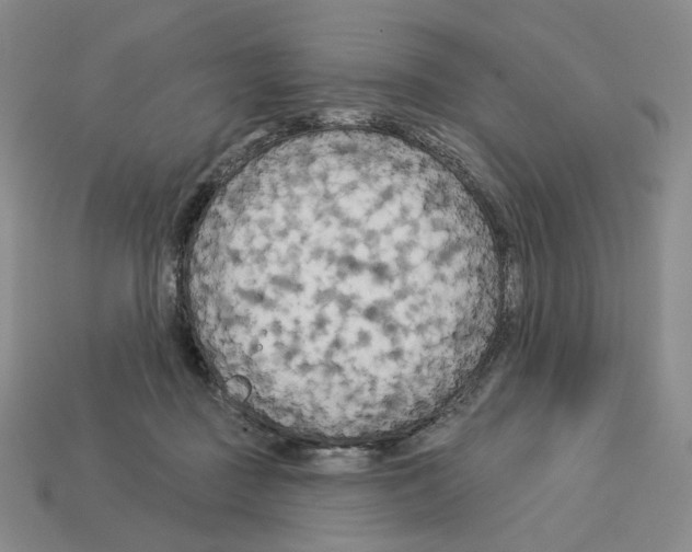 X0000112890363200910021419