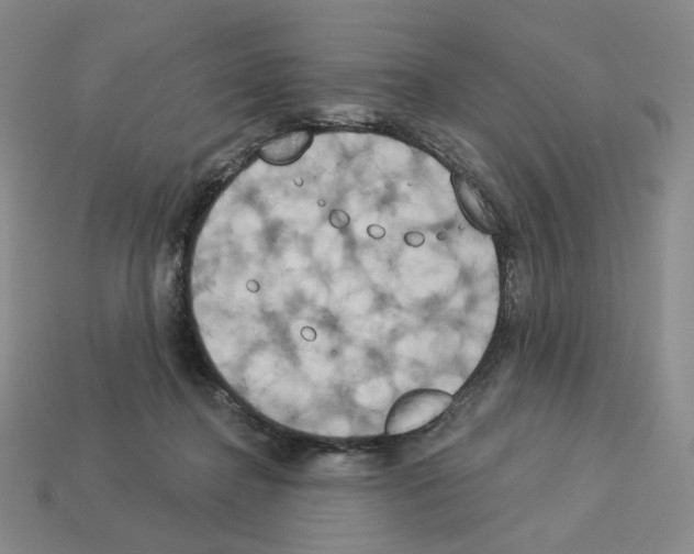 X0000112890364200910021419