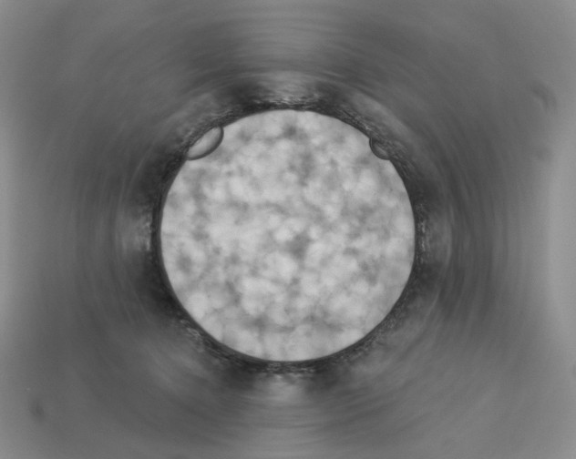 X0000112890368200910021419