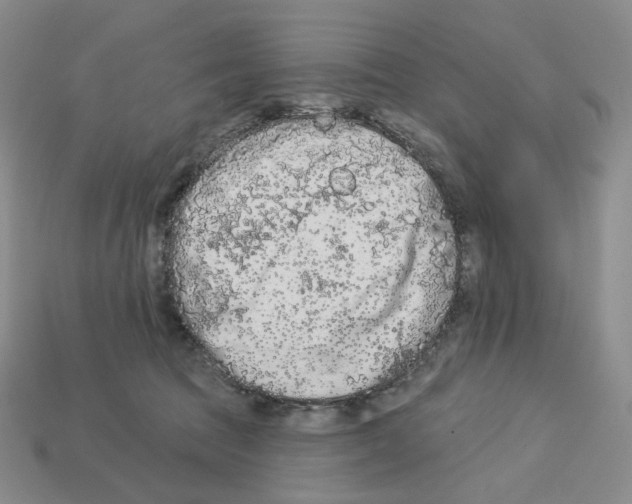 X0000112890369200910021419