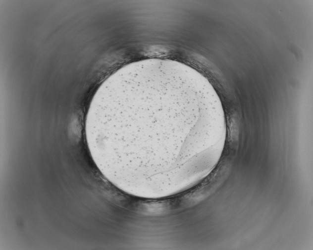 X0000112890370200910021419