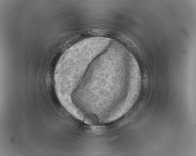 X0000112890371200910021419