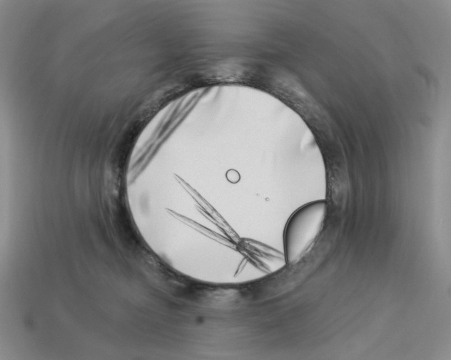 X0000112890374200910021419