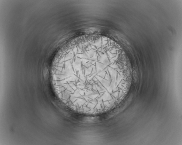 X0000112890375200910021419