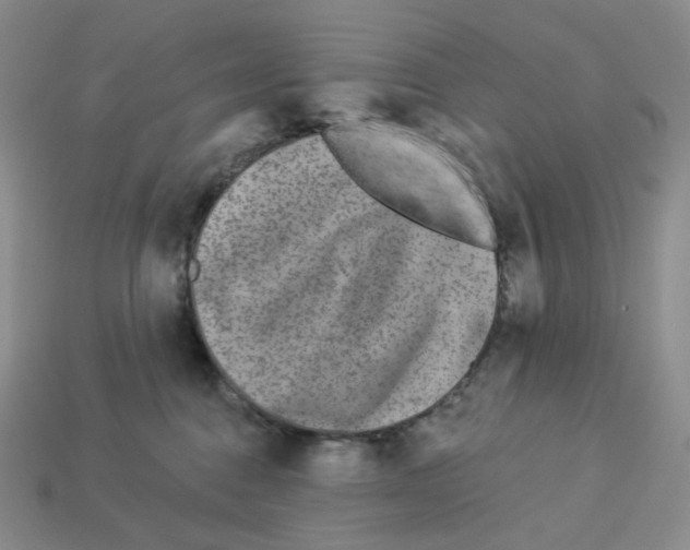 X0000112890376200910021419