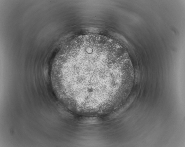 X0000112890377200910021419