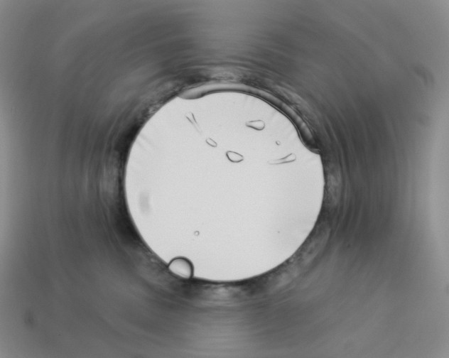 X0000112890379200910021419