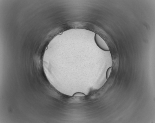 X0000112890381200910021419