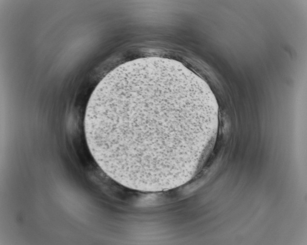 X0000112890382200910021419