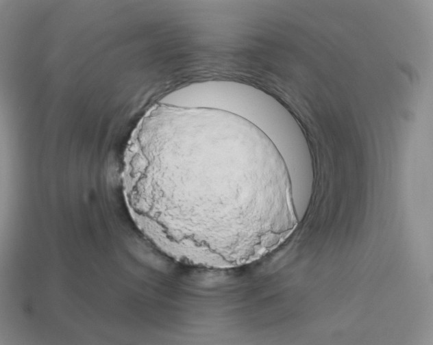 X0000112890384200910021419