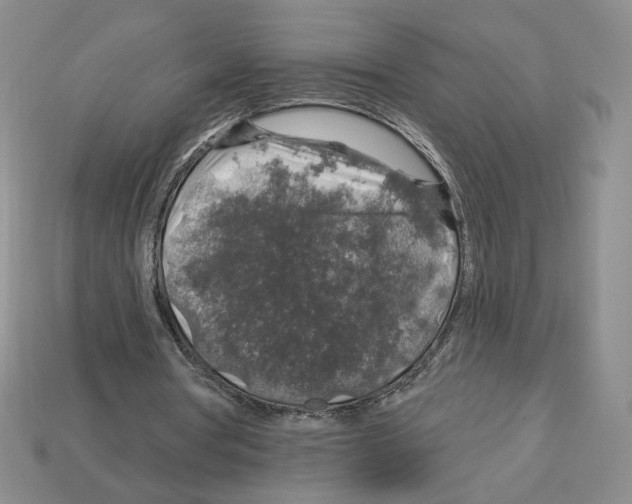 X0000112890386200910021419