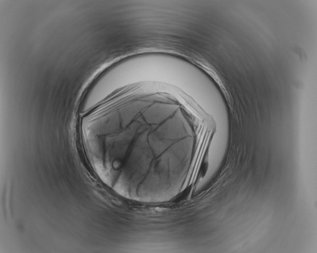 X0000112890387200910021419