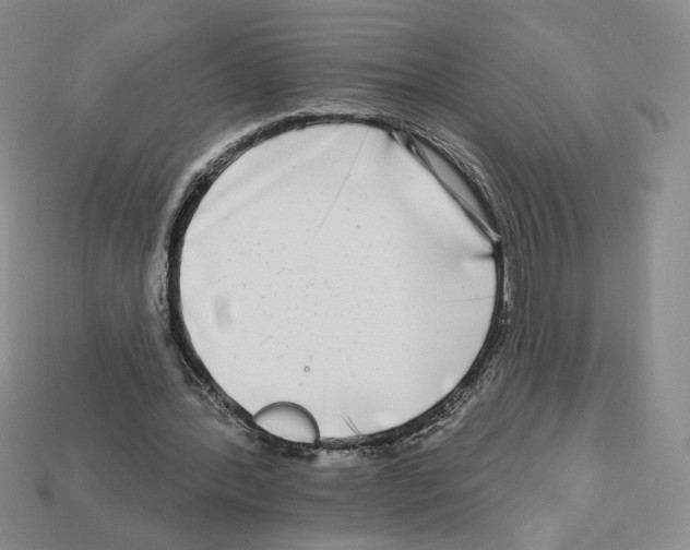X0000112890388200910021419