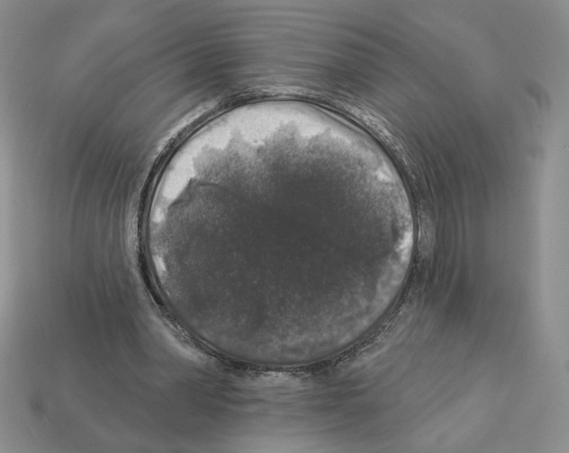 X0000112890390200910021418