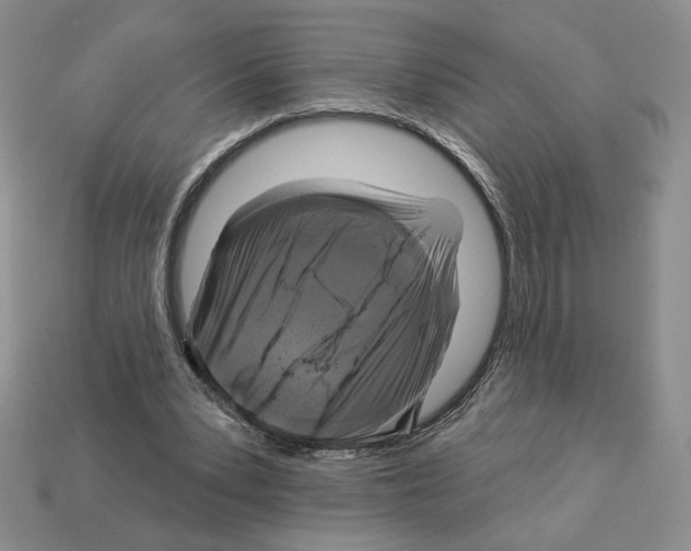 X0000112890391200910021418