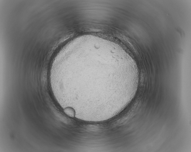 X0000112890394200910021418