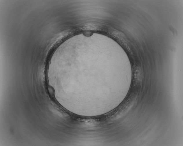 X0000112890395200910021418