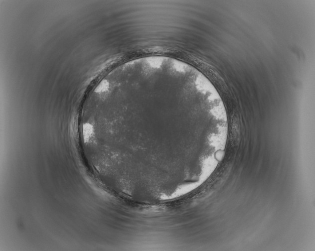 X0000112890398200910021418