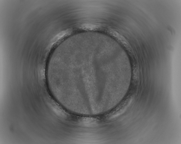 X0000112890399200910021418