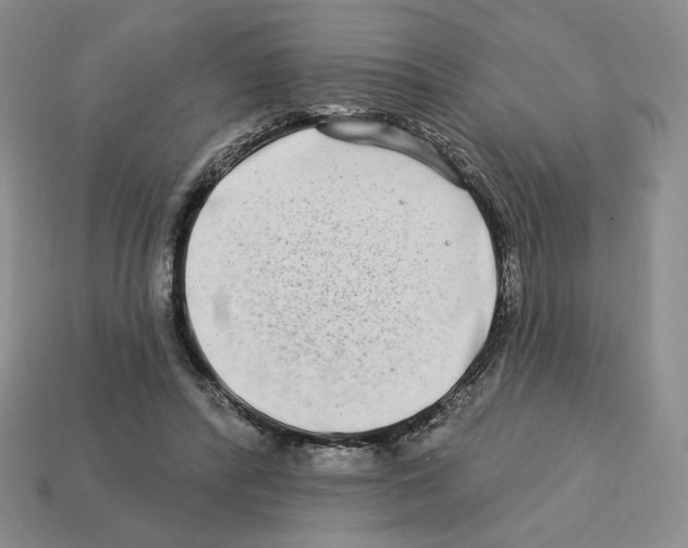 X0000112890400200910021418