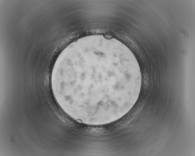 X0000112890401200910021418