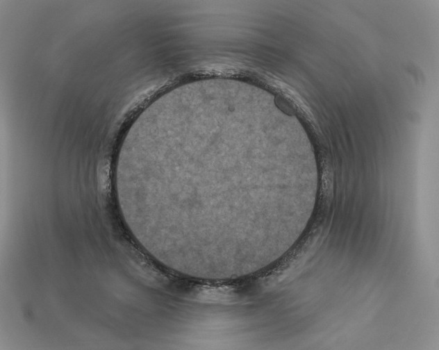 X0000112890403200910021418