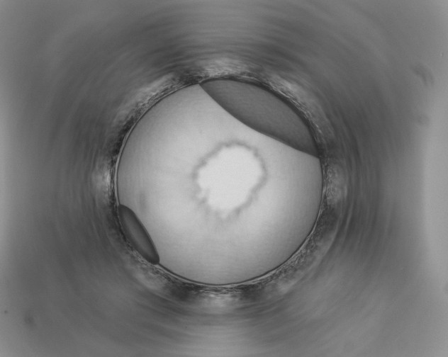 X0000112890405200910021418
