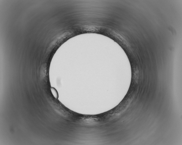 X0000112890407200910021418