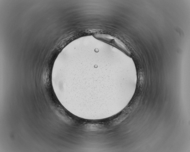 X0000112890408200910021418