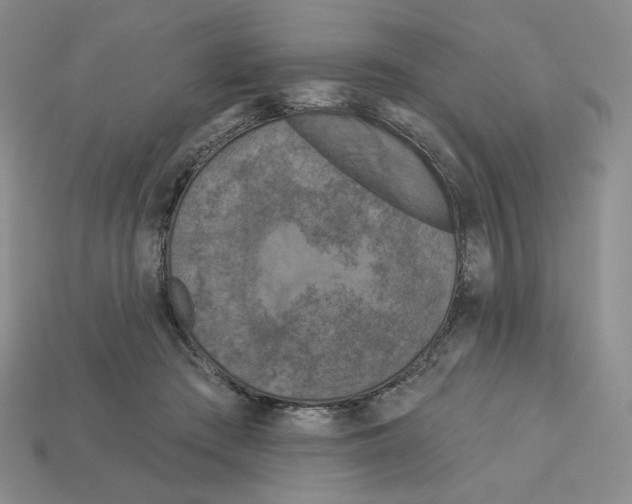 X0000112890409200910021418
