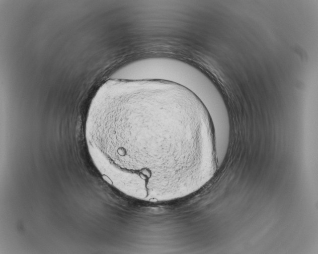 X0000112890411200910021418